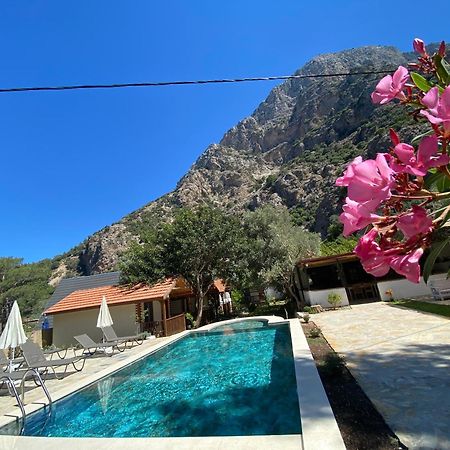 Kidrak Otel Montenegro-1 ファラリア エクステリア 写真