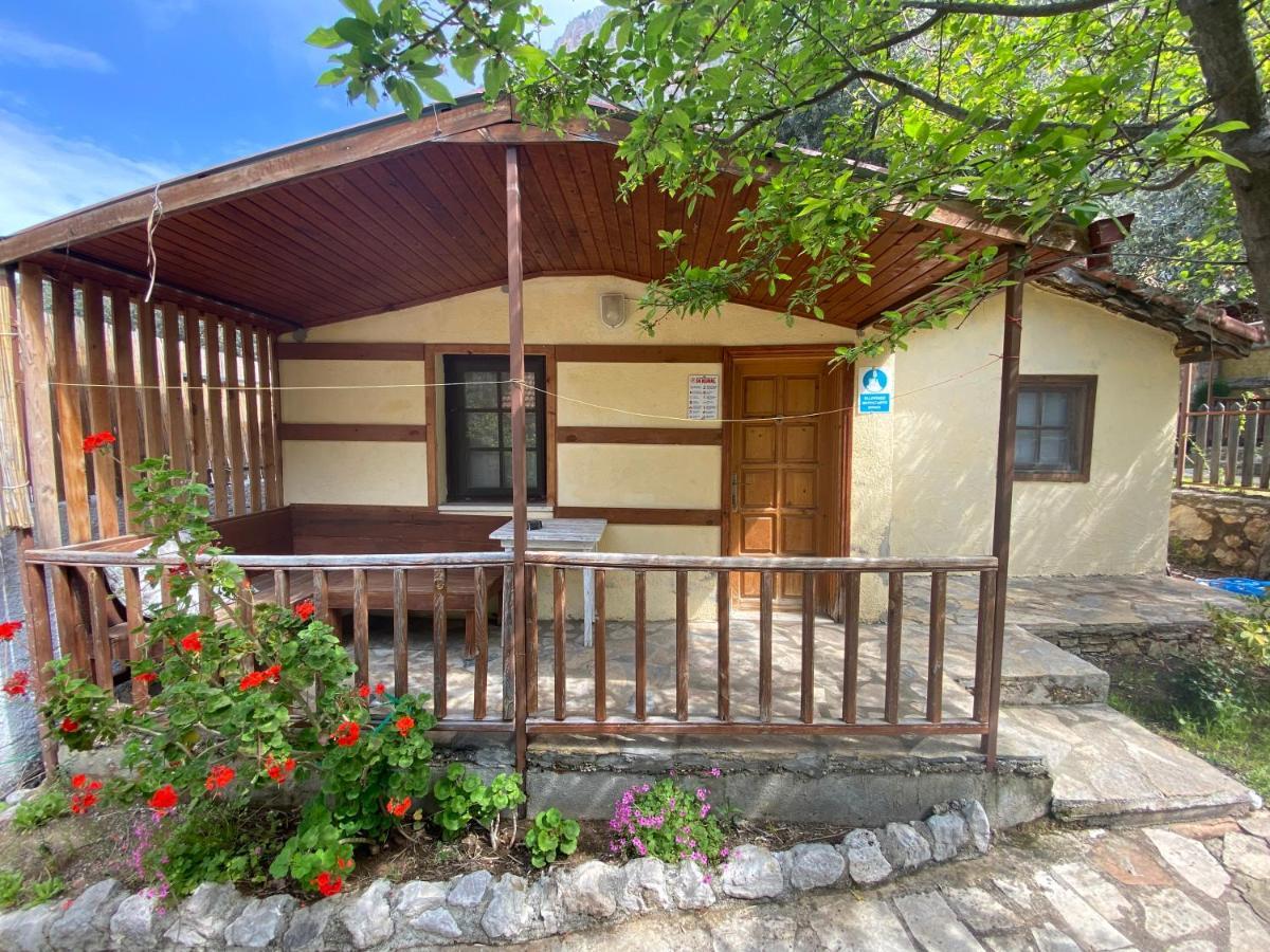 Kidrak Otel Montenegro-1 ファラリア エクステリア 写真
