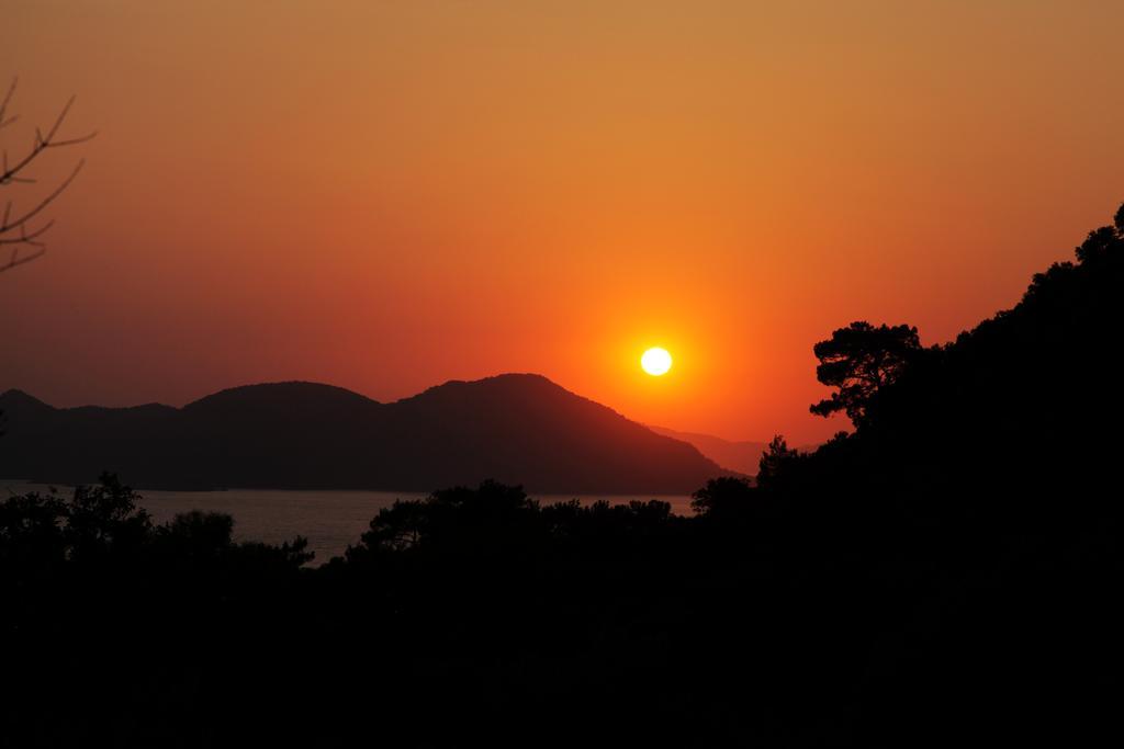 Kidrak Otel Montenegro-1 ファラリア エクステリア 写真